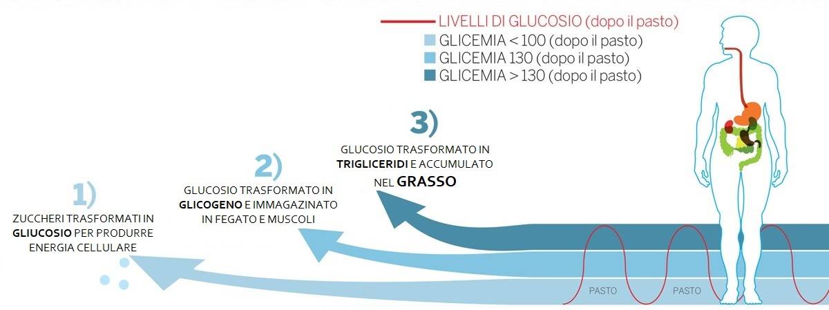 dietista - nutrizionista Sonia Marchini zuccheri