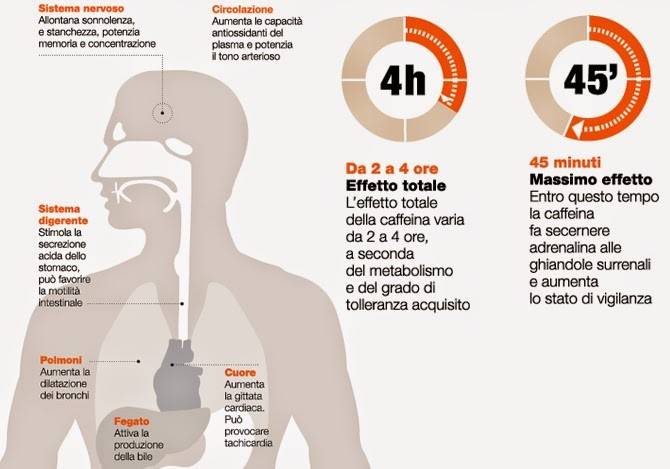 dietista - nutrizionista Sonia Marchini caffeina